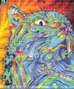 LSD-25 Tabs Double Dosed 240ug – Cat