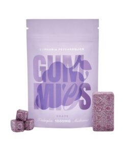 Euphoria Psychedelics – Lego Brick Grape Gummies (1000mg)