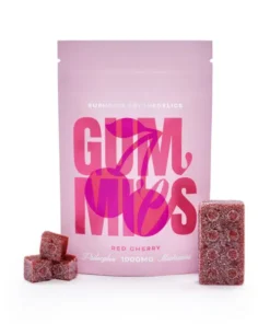 Euphoria Psychedelics Lego Brick Cherry Gummies