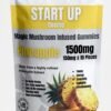 Magic Mushroom Startup Pineapple Gummies
