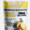 Magic Mushroom Startup Pineapple Microdose
