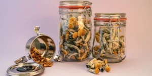 Shelf life shrooms and how to store them