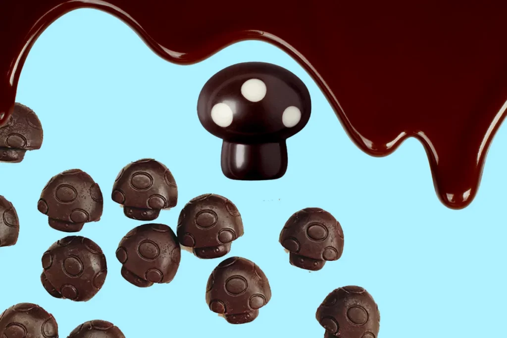Magic Mushrooms Chocolates Recipe