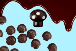 Magic Mushrooms Chocolates Recipe