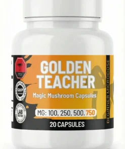 Golden Teacher Magic Mushroom Capsules 750mg